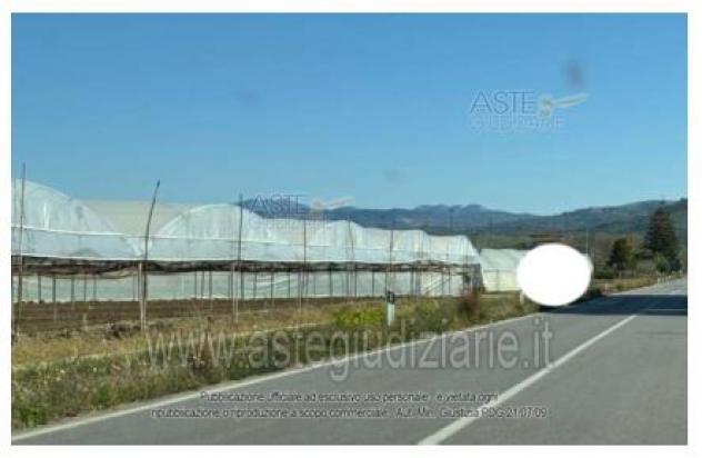 terreno agricolo in vendita a Castelnuovo Cilento