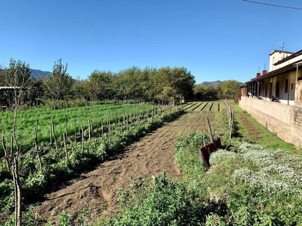terreno agricolo in vendita a Castel San Giorgio