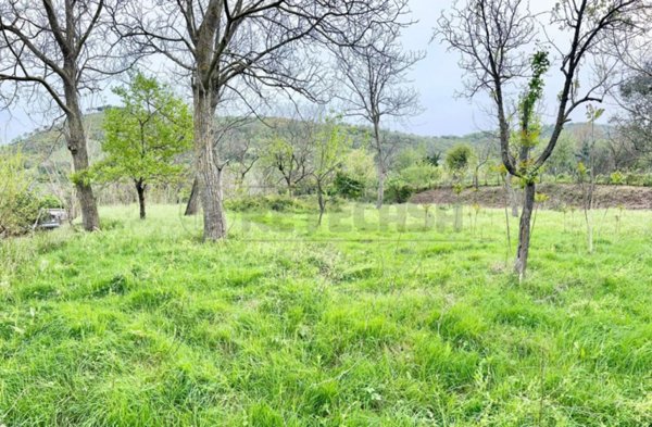 terreno agricolo in vendita a Castel San Giorgio in zona Torello