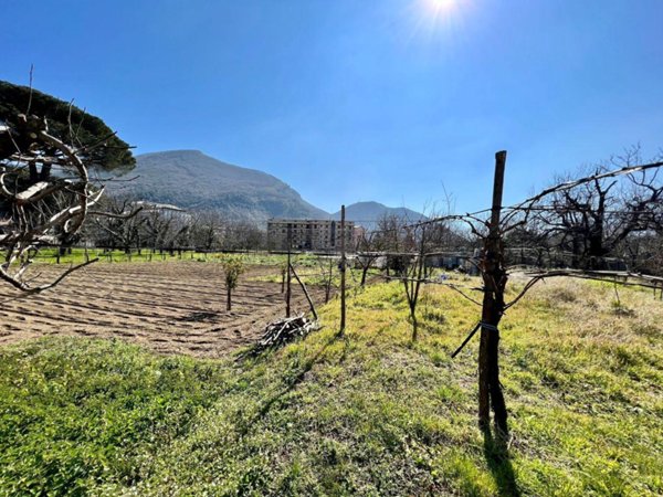 terreno agricolo in vendita a Castel San Giorgio