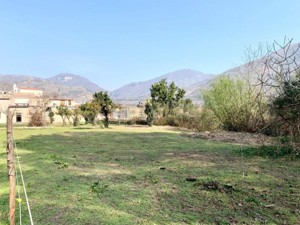terreno agricolo in vendita a Castel San Giorgio