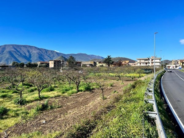 terreno agricolo in vendita a Castel San Giorgio