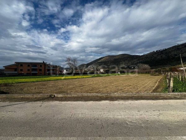 terreno agricolo in vendita a Castel San Giorgio