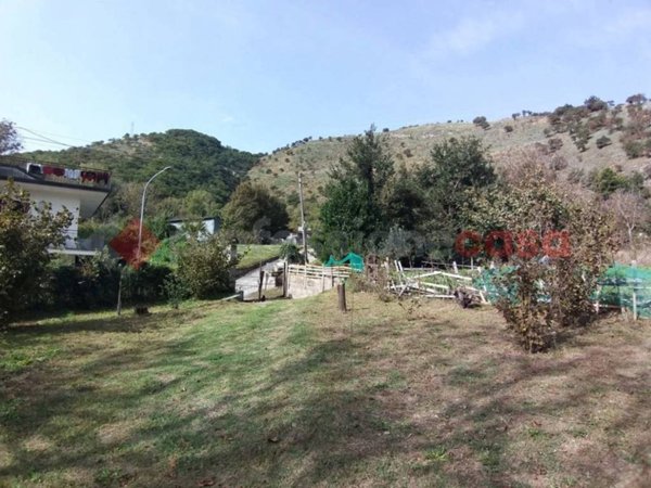 terreno agricolo in vendita a Castel San Giorgio in zona Torello