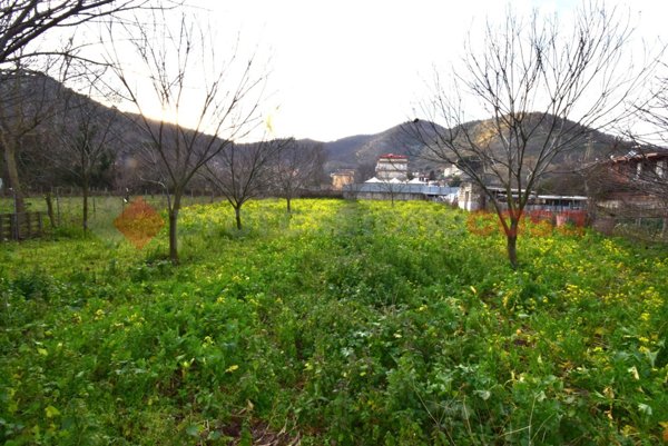 terreno agricolo in vendita a Castel San Giorgio