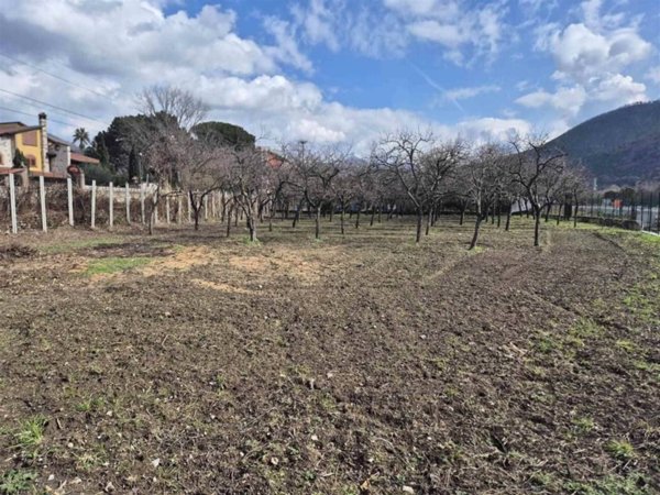 terreno agricolo in vendita a Castel San Giorgio in zona Fimiani