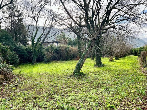 terreno agricolo in vendita a Castel San Giorgio