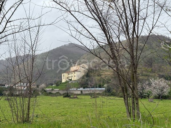 terreno agricolo in vendita a Castel San Giorgio