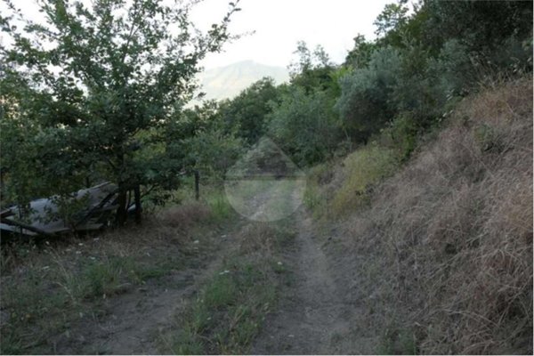 terreno agricolo in vendita a Castel San Giorgio