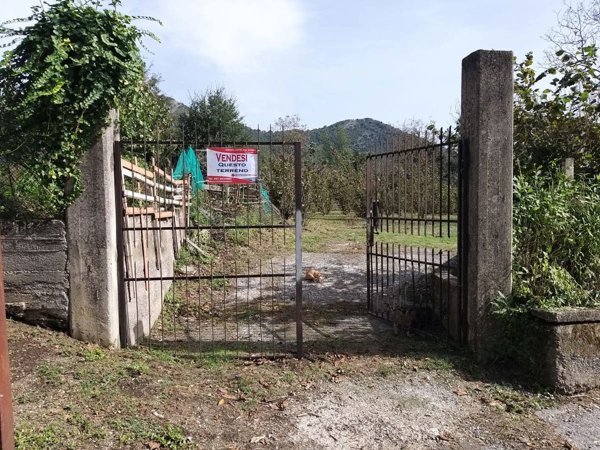 terreno agricolo in vendita a Castel San Giorgio in zona Torello