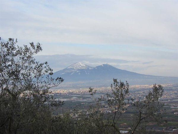 terreno agricolo in vendita a Castel San Giorgio
