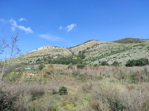 terreno agricolo in vendita a Castel San Giorgio