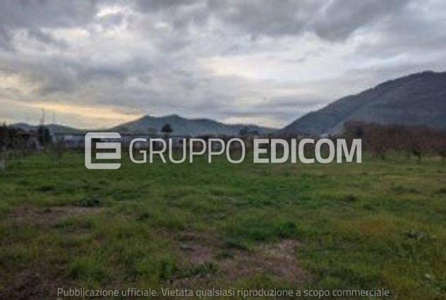 terreno agricolo in vendita a Castel San Giorgio