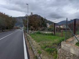 terreno agricolo in vendita a Castel San Giorgio