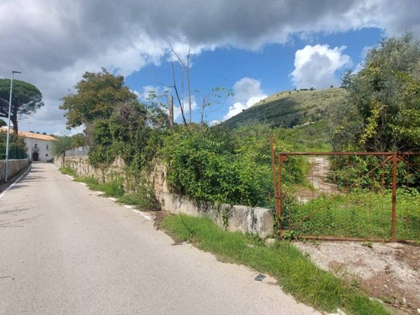terreno agricolo in vendita a Castel San Giorgio