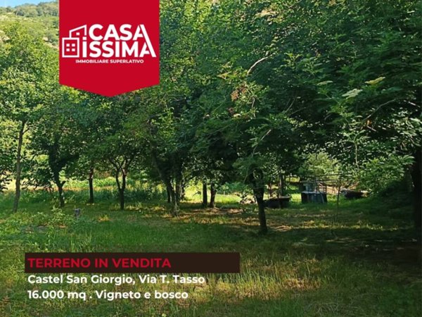 terreno agricolo in vendita a Castel San Giorgio