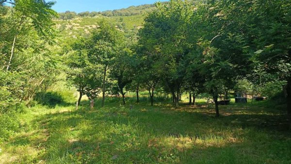 terreno agricolo in vendita a Castel San Giorgio in zona Cortedomini