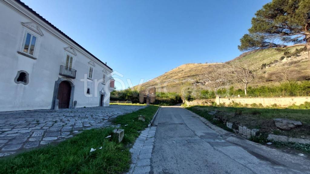 terreno agricolo in vendita a Castel San Giorgio