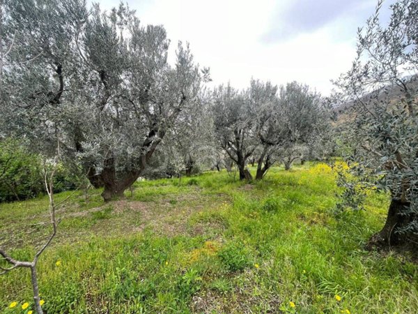 terreno agricolo in vendita a Castel San Giorgio