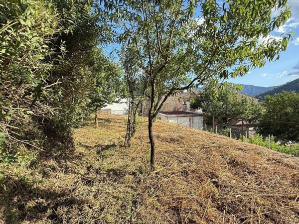 terreno agricolo in vendita a Castel San Giorgio