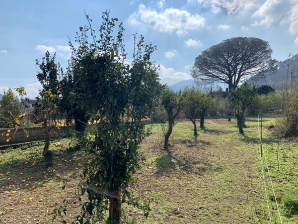 terreno agricolo in vendita a Castel San Giorgio