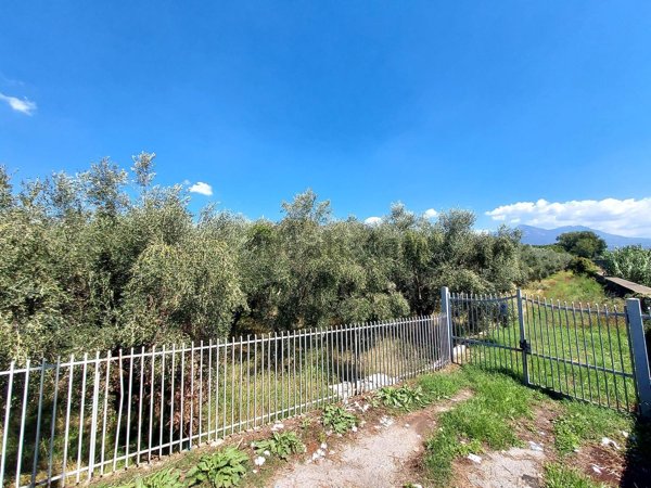 terreno agricolo in vendita a Castel San Giorgio