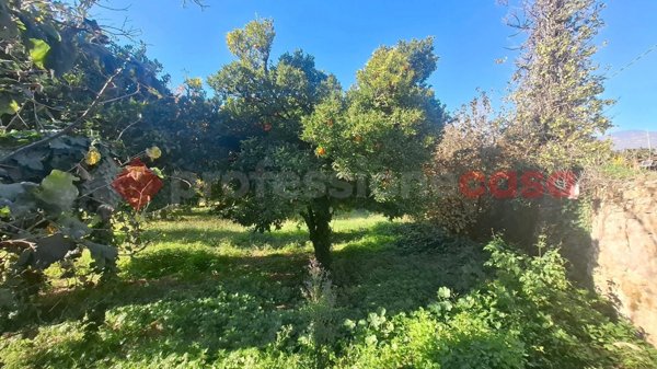 terreno agricolo in vendita a Castel San Giorgio