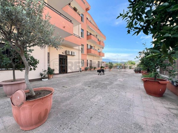 appartamento in vendita a Castel San Giorgio