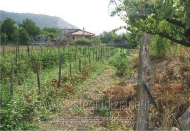 terreno agricolo in vendita a Castel San Giorgio in zona Santa Maria a Favore