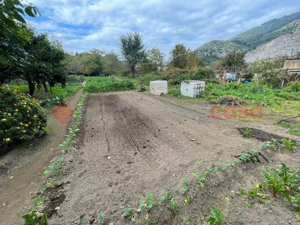 terreno agricolo in vendita a Castel San Giorgio in zona Lanzara
