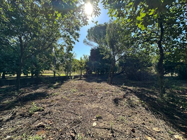 appartamento in vendita a Castel San Giorgio