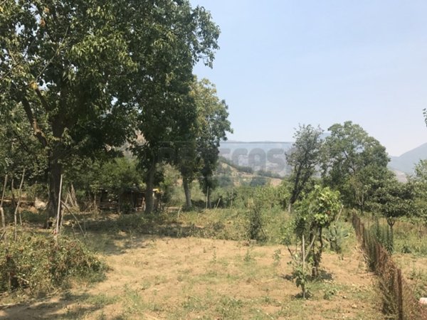 terreno agricolo in vendita a Castel San Giorgio