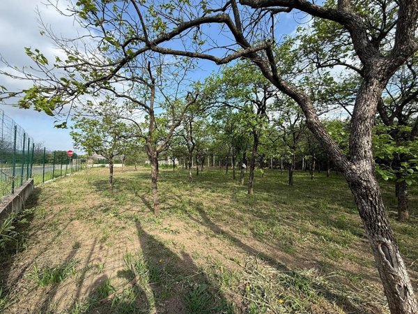 terreno agricolo in vendita a Castel San Giorgio