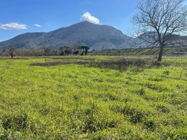 terreno agricolo in vendita a Castel San Giorgio