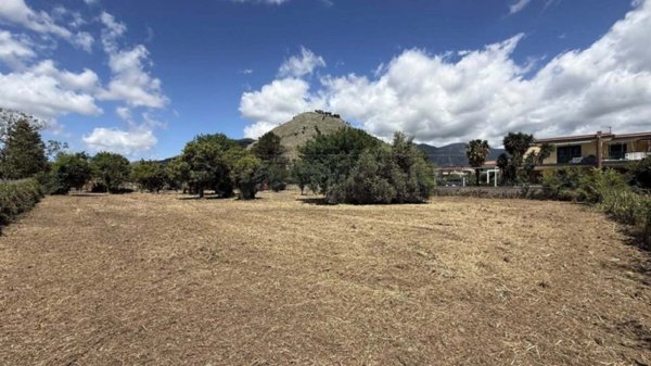 terreno agricolo in vendita a Castel San Giorgio
