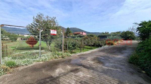 terreno agricolo in vendita a Castel San Giorgio in zona Santa Maria a Favore
