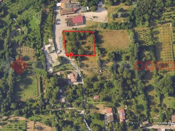 terreno agricolo in vendita a Castel San Giorgio in zona Torello