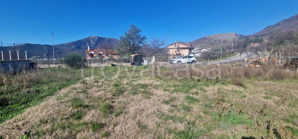 terreno agricolo in vendita a Castiglione del Genovesi