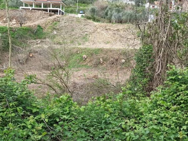 terreno agricolo in vendita a Cava de' Tirreni