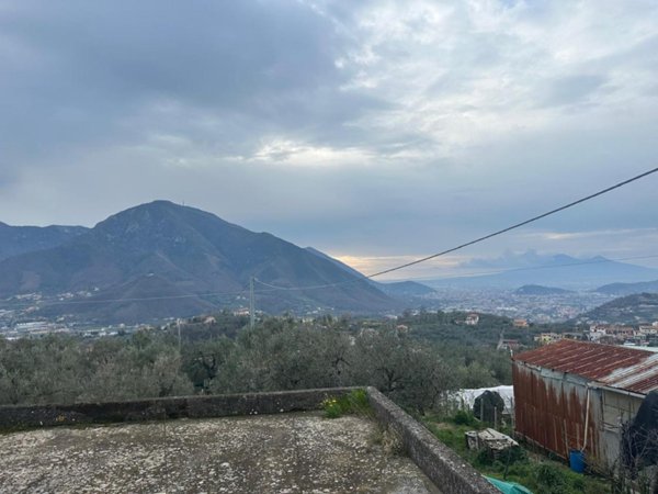 immagine annuncio 0 di 8