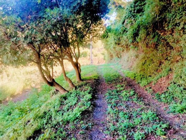 terreno agricolo a Cava de' Tirreni in zona Centro Storico / Scacciaventi