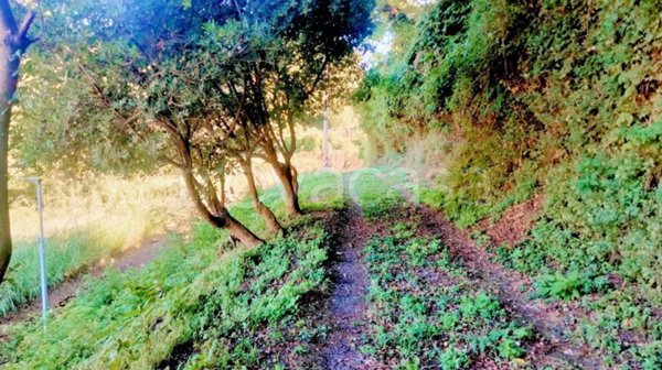 azienda agricola a Cava de' Tirreni in zona Centro Storico / Scacciaventi