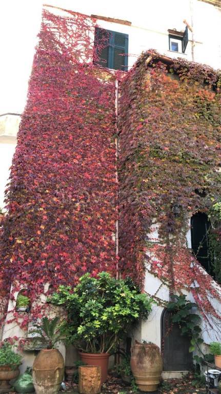 casa indipendente a Cava de' Tirreni in zona Castagneto / Corpo di Cava