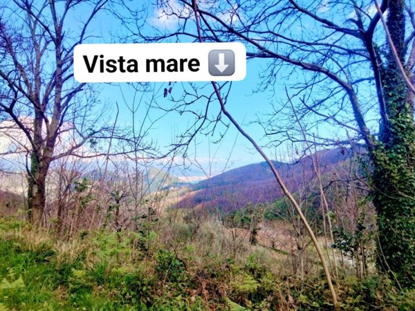 terreno agricolo a Cava de' Tirreni in zona Castagneto / Corpo di Cava