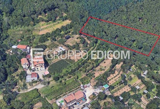 terreno agricolo in vendita a Cava de' Tirreni in zona San Martino