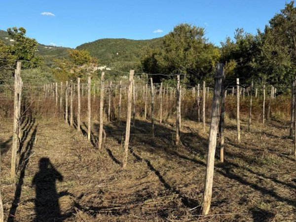 locale commerciale a Cava de' Tirreni in zona Castagneto / Corpo di Cava