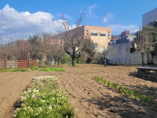 terreno agricolo in vendita a Cava de' Tirreni