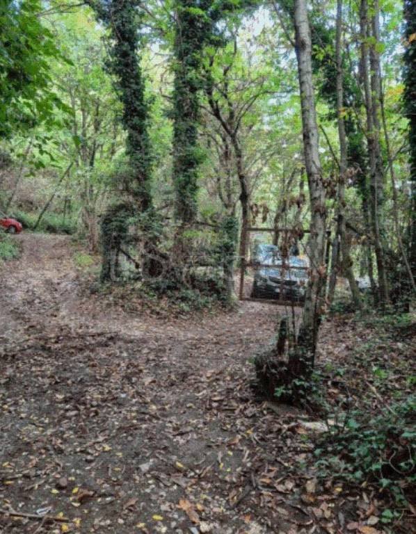terreno agricolo in vendita a Cava de' Tirreni in zona San Martino