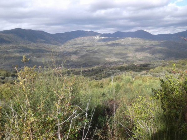 terreno agricolo in vendita a Centola in zona Forìa