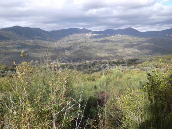 terreno agricolo in vendita a Centola in zona Forìa